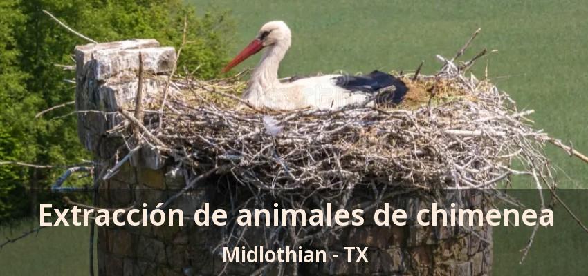 Extracción de animales de chimenea Midlothian - TX Extracción de animales de chimenea Midlothian - TX
