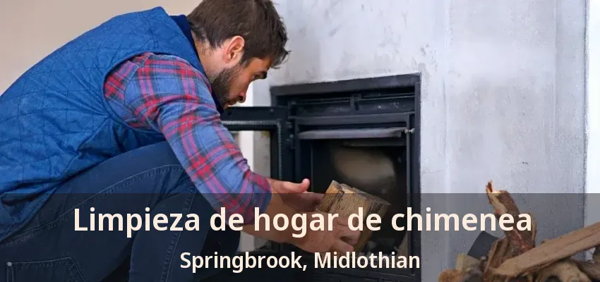 Limpieza de hogar de chimenea Springbrook, Midlothian - TX