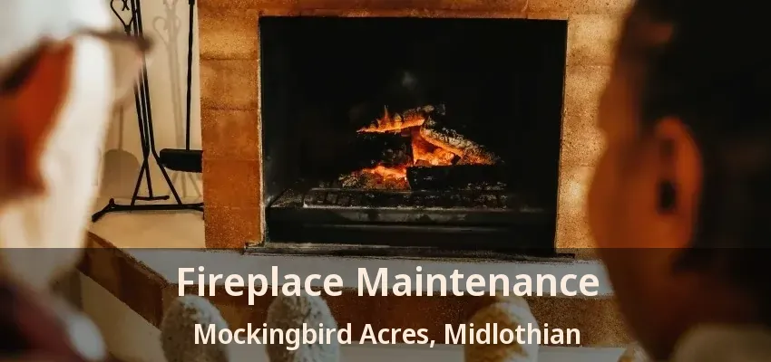 Fireplace Maintenance Mockingbird Acres, Midlothian - TX