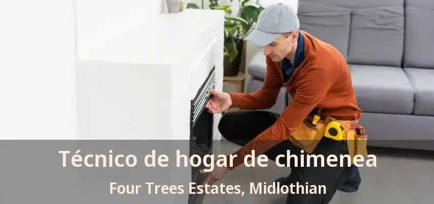 Técnico de hogar de chimenea Four Trees Estates, Midlothian - TX