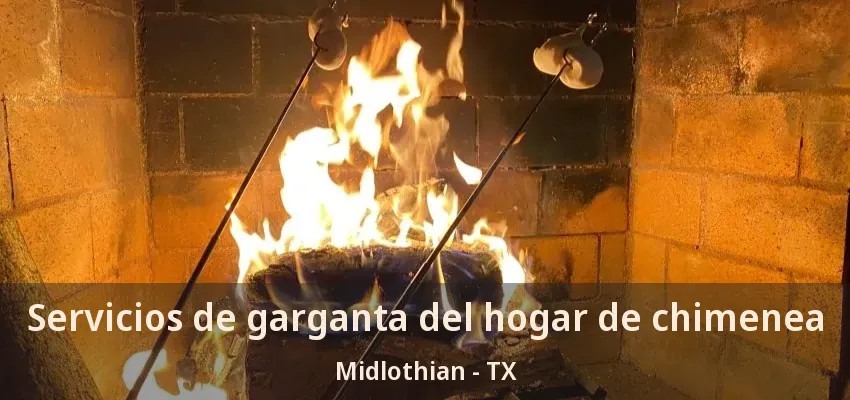 Servicios de garganta del hogar de chimenea Midlothian - TX