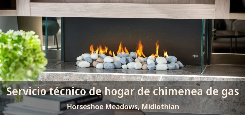 Servicio técnico de hogar de chimenea de gas Horseshoe Meadows, Midlothian - TX