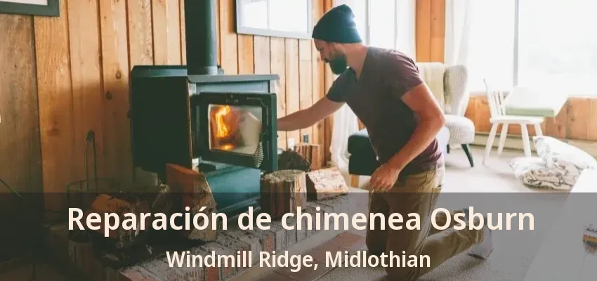 Reparación de chimenea Osburn Windmill Ridge, Midlothian - TX
