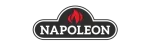 Napoleon Gas Fireplace Repair in Park Place East, Midlothian